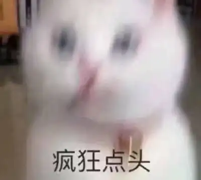 疯狂猫