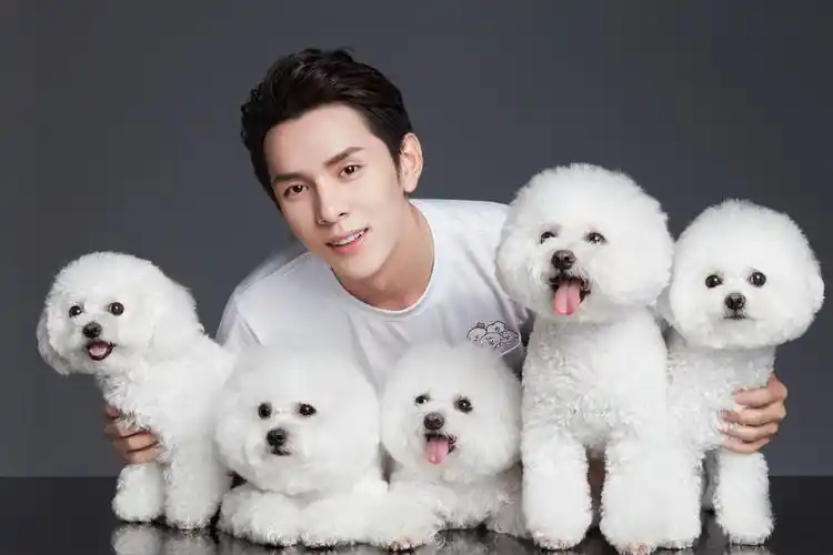 n姓女星李佳琦的破圈锦囊