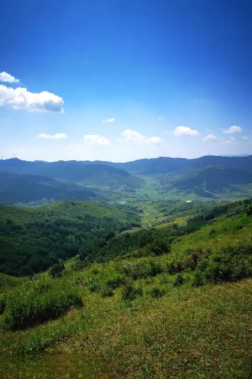 山西吕梁·高山草甸 离石区西华镇