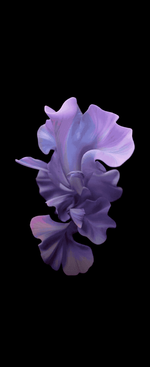 三星galaxy z flip内置原生壁纸与动态壁纸