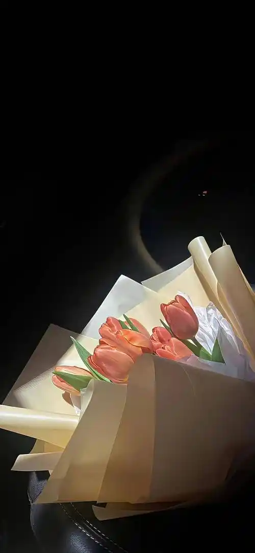 壁纸丨氛围感ins冷淡风壁纸