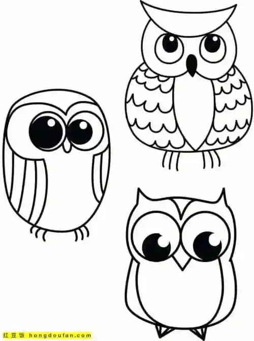 12岁孩子们都可以涂色的14张猫头鹰主题涂色图片-红豆饭小学生简笔画