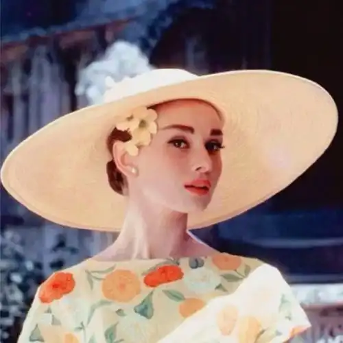 一些赫本的头像