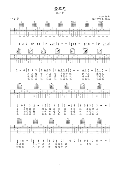 张小斐萱草花吉他谱