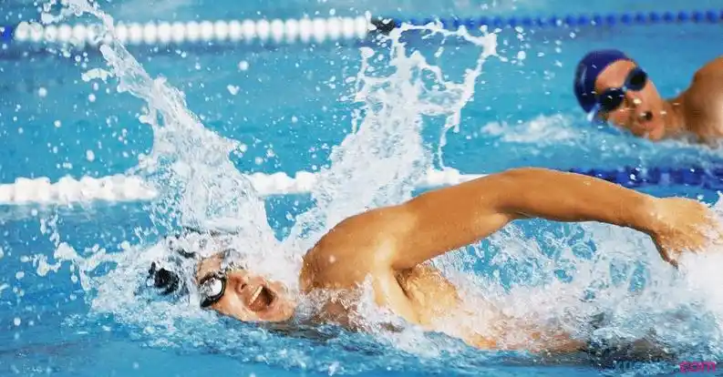 游泳的入门技巧有哪些要领