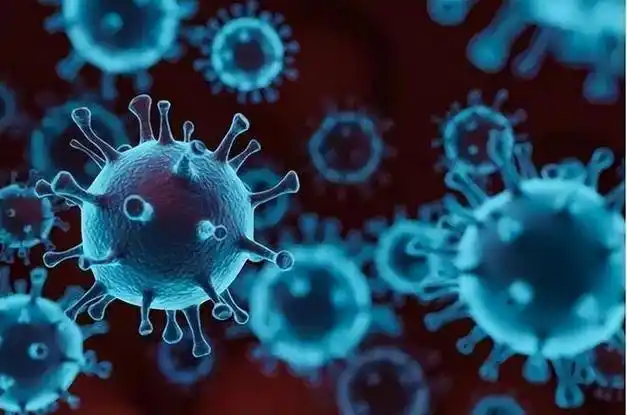 自2019年末新冠肺炎出现至今,已过去四年多的时间.