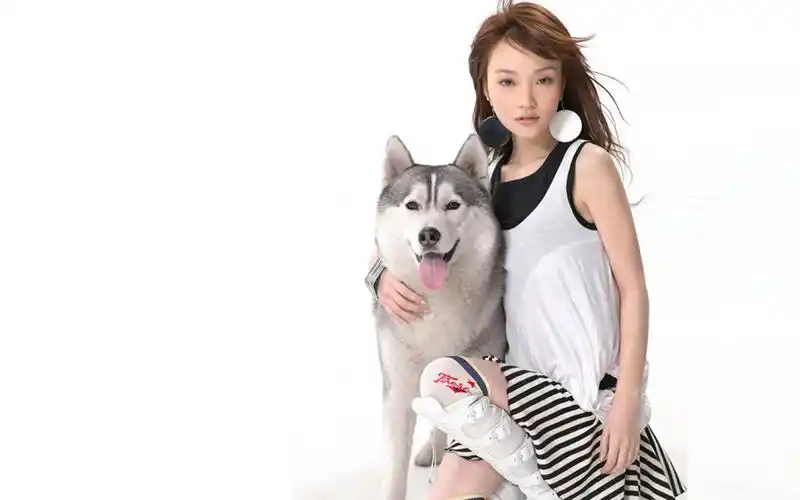 李小璐新时代国民媳妇壁纸图片