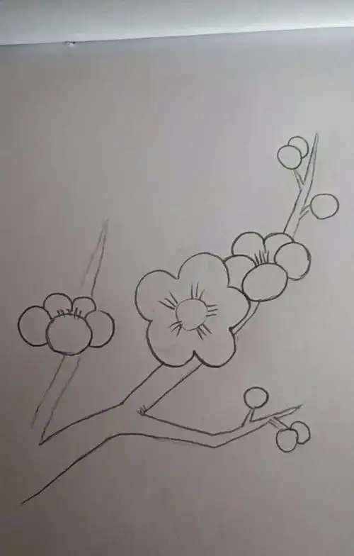 简笔画梅花的画法一枝梅花儿童亲子简笔画梅花简笔画图片梅花简笔画