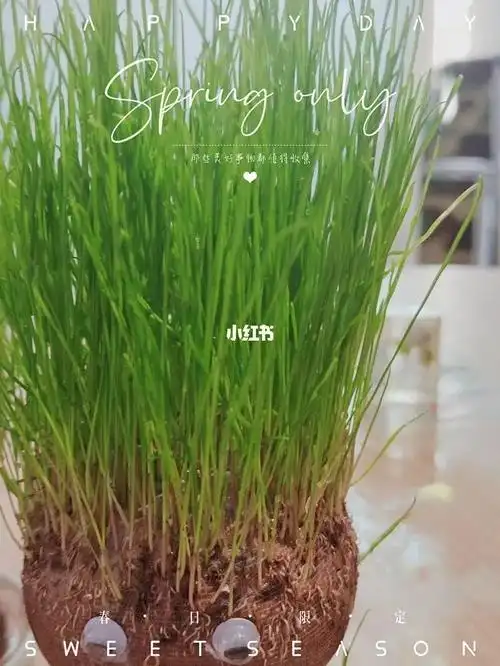 直接从毛刺到锡纸烫