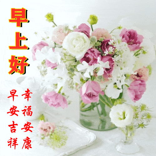 伸伸懒腰,甩开疲倦旧的烦恼统统抛开新的一天已经开始早上好,亲爱的