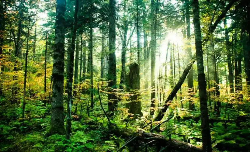 城市之窗最美吉林长白山