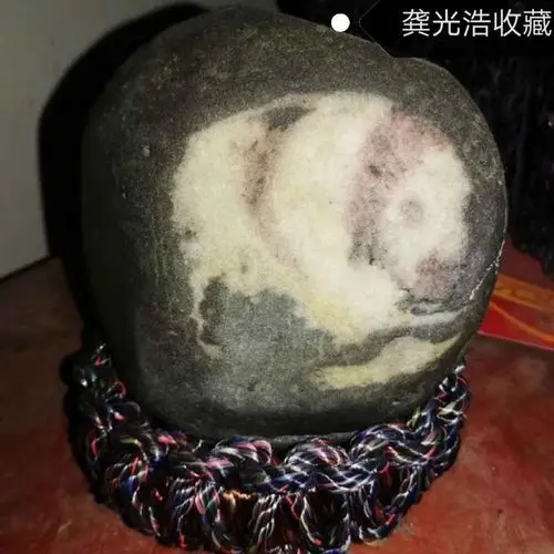 [书画·收藏]乐山天然奇石熊猫