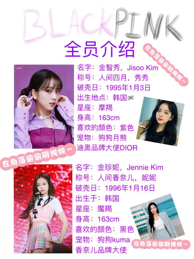 blackpink全员资料来喽 🈲️盗贼,如果要的话,必须在评论区艾特我