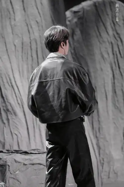 刘耀文下车背影