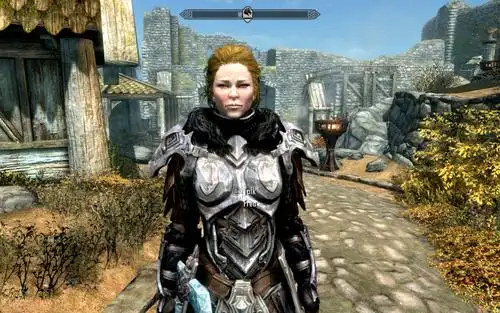 上古卷轴5:重置版 随从模组 随从头发redux 截图