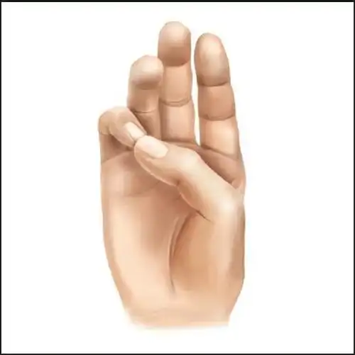 右手掌各位置的名称?