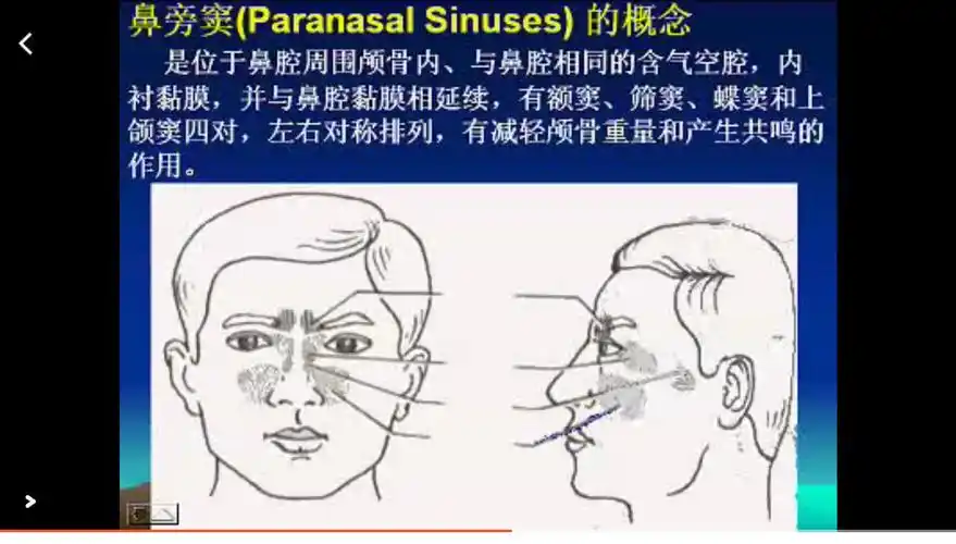 声乐笔记一(共鸣腔的认识)