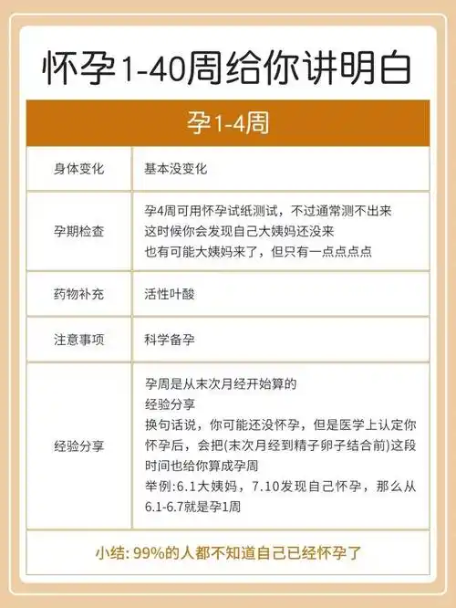 子宫开始增大,但变化不大,可能需要通过超声波检查才能观察到.