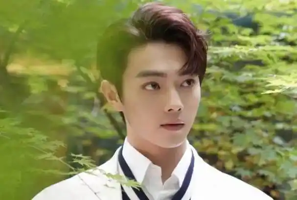 许凯:演艺圈的璀璨星辰_演技_魅力_表演