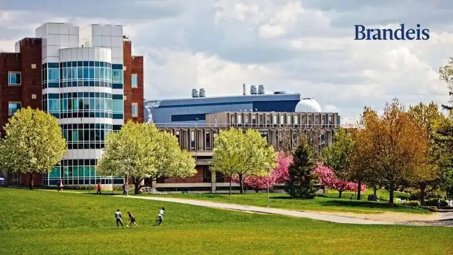 博士申请美国布兰迪斯大学张初旭教授招收机器学习方向全奖博士生