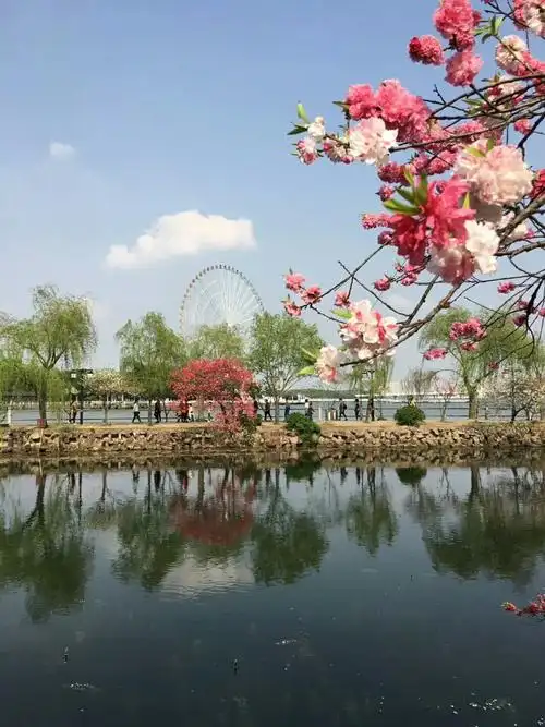 春风十里 不如寻找身边的美