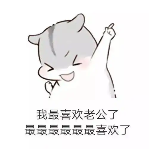 仓鼠套路表情包|男朋友生气了该怎么哄?