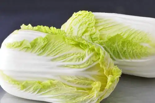 娃娃菜可以生吃吗-娃娃菜可以生吃吗,娃娃菜,可以,生吃,吗