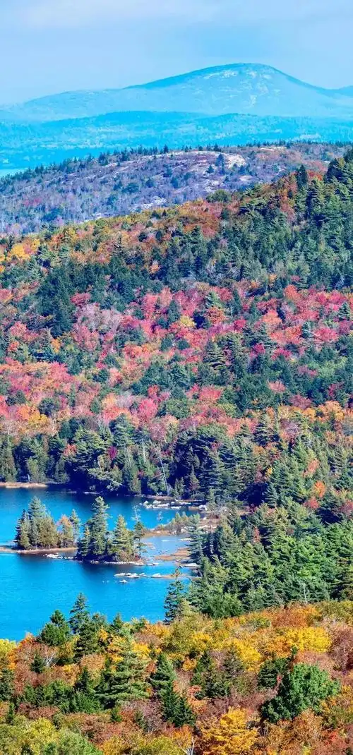 (高清全面屏壁纸)