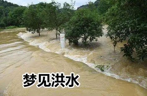 梦见洪水是什么意思?做梦梦见洪水泛滥好不好?