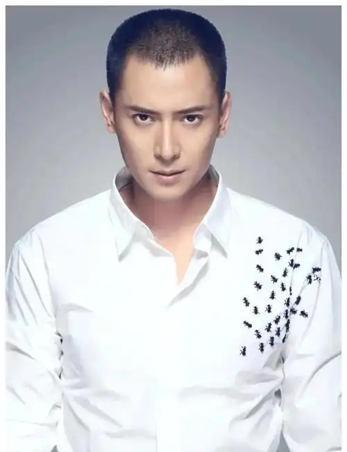 80年出生的17位男星陈冠希王祖蓝明道名列其中就谢霆锋一人获奖