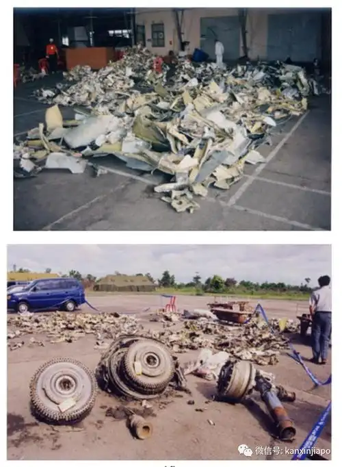 一客机垂直坠毁,"唯一可能是仪器被人强行关掉"|空难|巨港_网易订阅