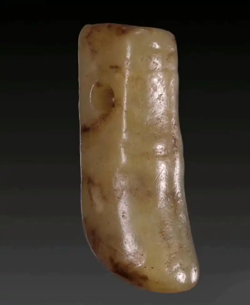 新石器时代红山文化时期玉蝉  中国国家博物馆