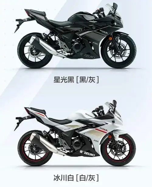 豪爵铃木250cc双车新款上市_摩托车整车_什么值得买