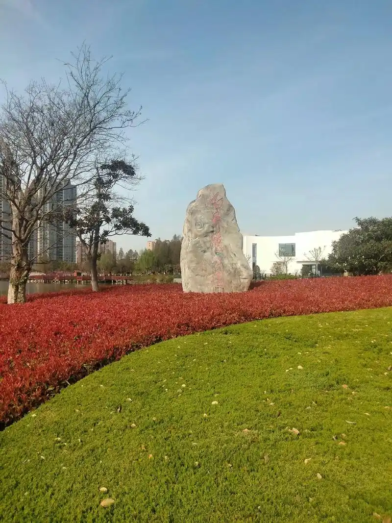 4月5上午阜宁白天鹅公园半曰游 - 抖音