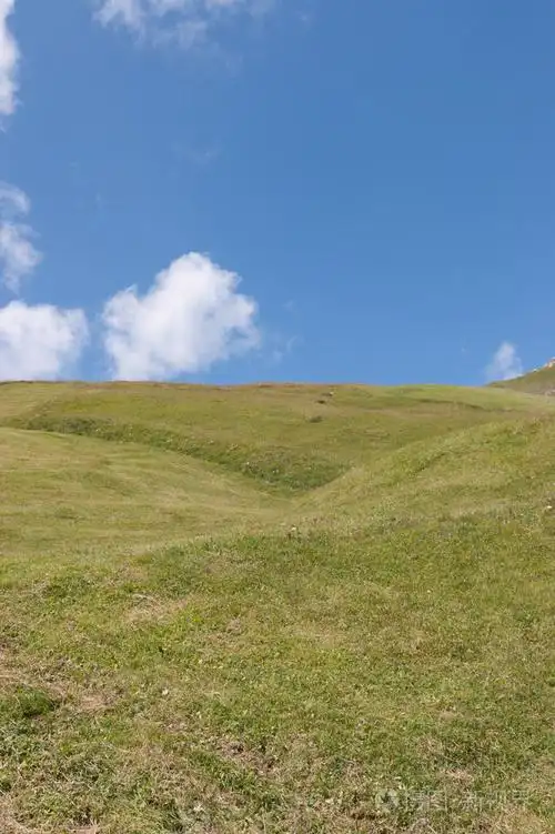 高寒草甸和生动蓝蓝的天空