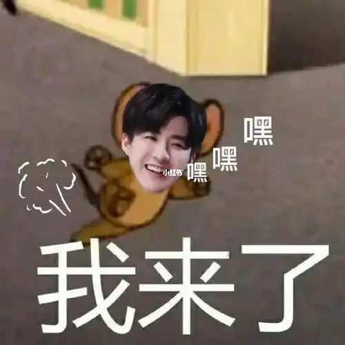 刘宇宁表情包第五弹