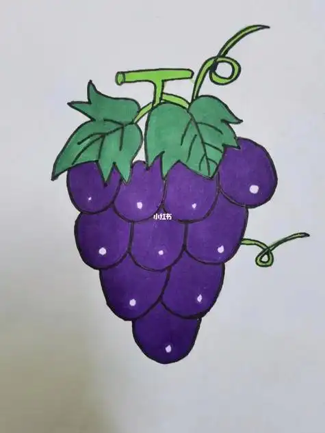 简笔画一个葡萄