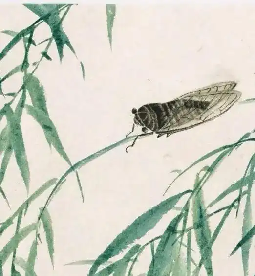 国画工笔知了吟蝉