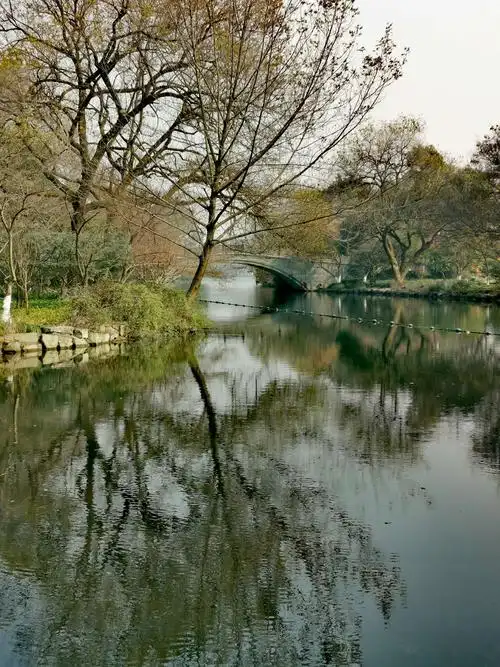 杭州西湖的倒影(手机摄影)2020.12.28