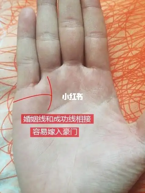 2,感情线与结婚线交叉有此有手相特征的人也容易离婚一条婚线到白头
