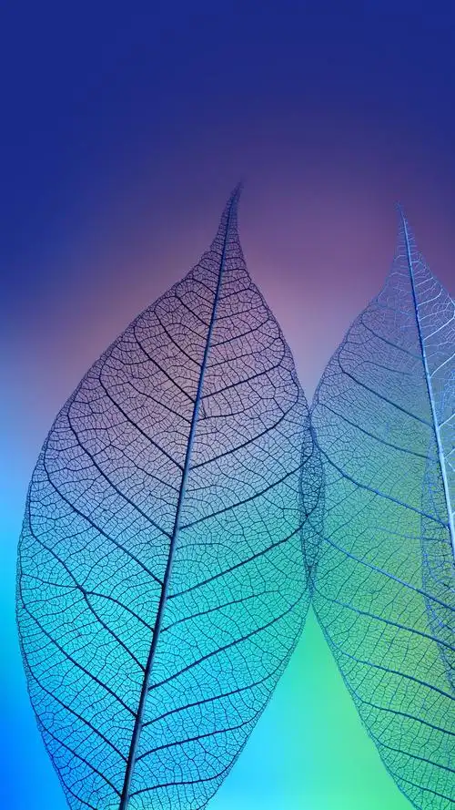 创意纹理插画唯美高清手机壁纸