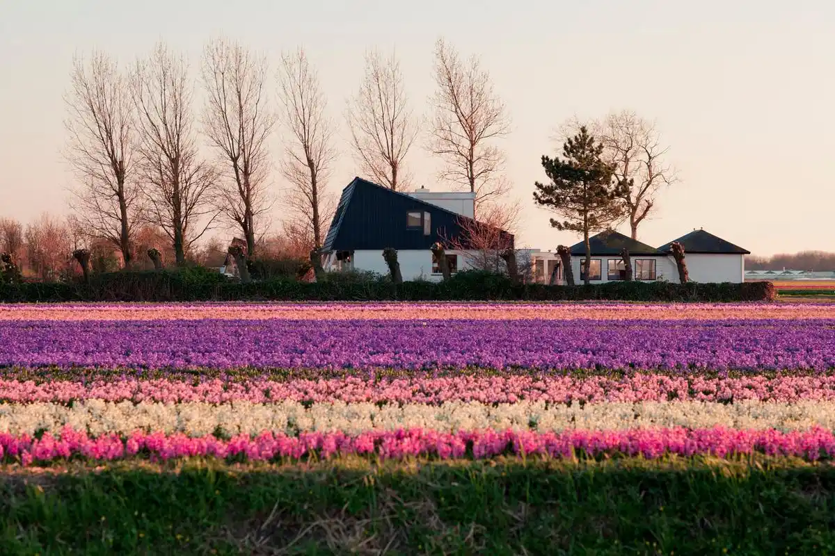 三台山国家森林公园不仅有着壮丽的自然景观,还有着令人惊叹的建筑和