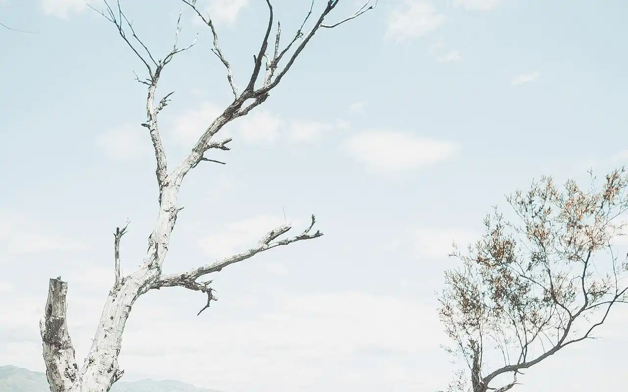 清新唯美日系背景图片高清桌面壁纸