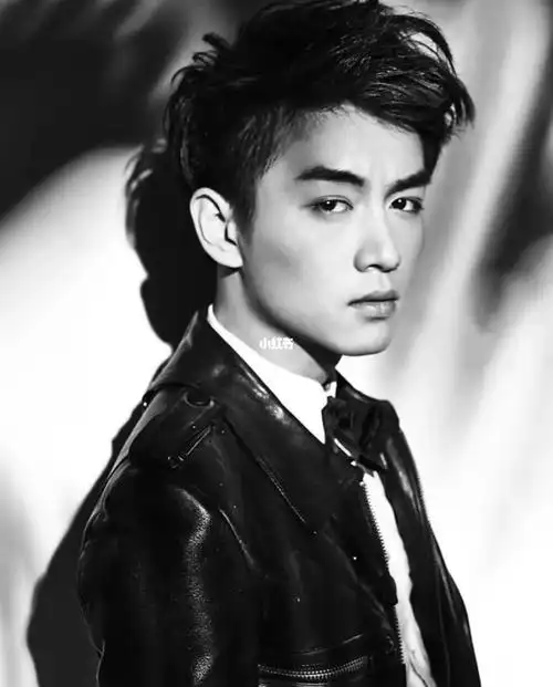 陈晓深情深邃的眼神和精美的五官爱了7815