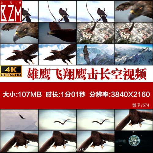 h雄鹰飞翔翱翔展翅高飞鹰击长空飞行雄鹰老鹰飞过雪山视频素材