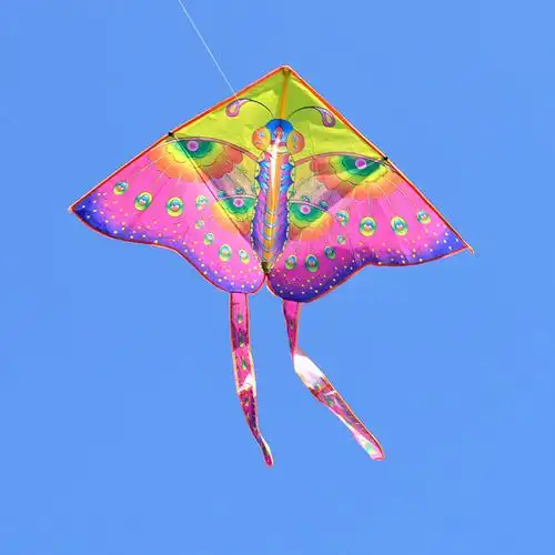 中国潍坊彩色三角洲彩虹鱼风筝轻松飞行户外