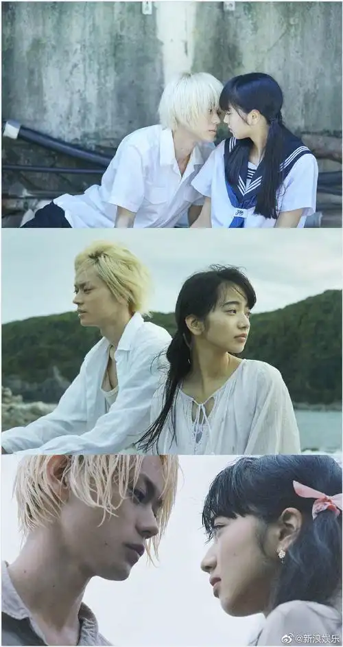 好友曝菅田将晖决定和小松菜奈结婚##菅田将晖小松菜奈同居