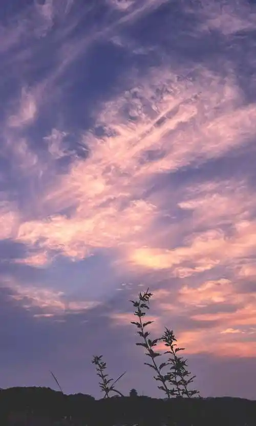 绝美傍晚云彩刷屏橙友圈!被惊艳到了