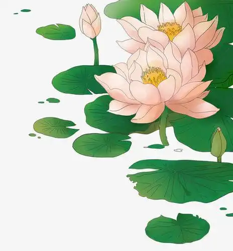 荷花插画简笔画上色 简笔画图片大全-蒲城教育文学网