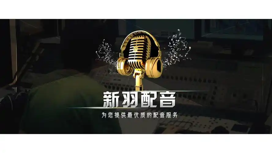 安阳录音公司/广告配音 男声意大利语配音